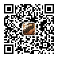 这里是您的网站名称